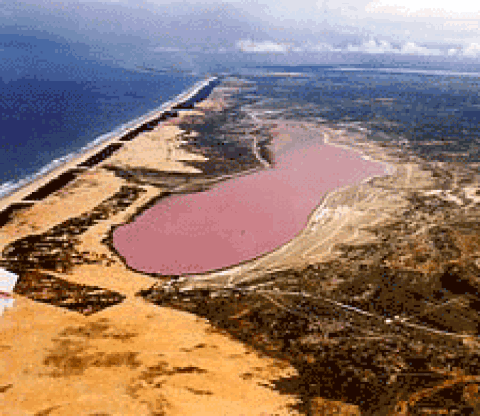 Pink Lake