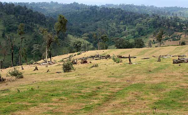 Mau Ghosts Laid to Rest