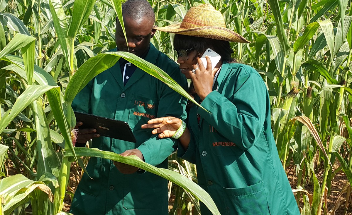 African Agriculture's Future Lies in Cultivating Youth, Not Only Crops
