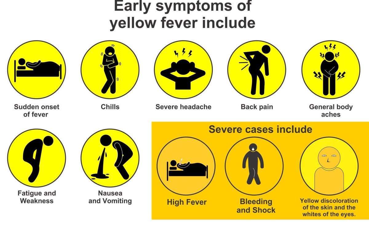 Nigeria: Bauchi State Governor Initiates Yellow Fever Campaign Targeting 500000 People - AllAfrica.com