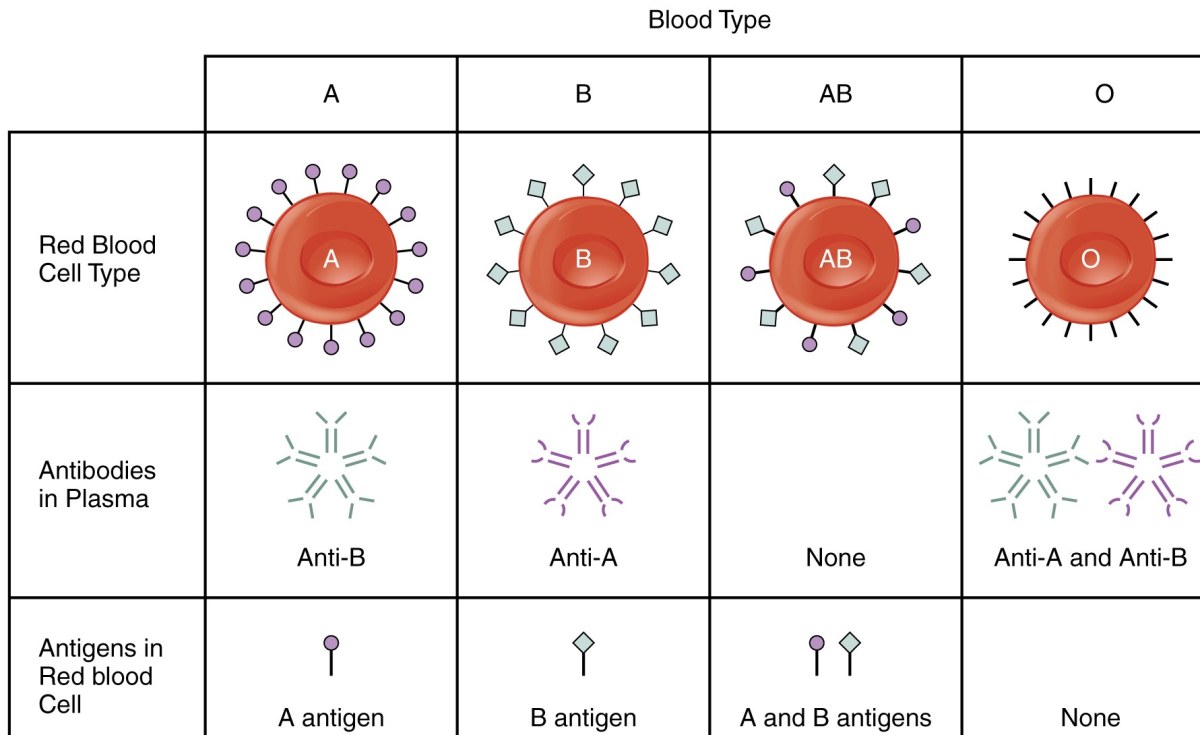 Africa Blood Groups and Their Antibodies Are Being Explored in